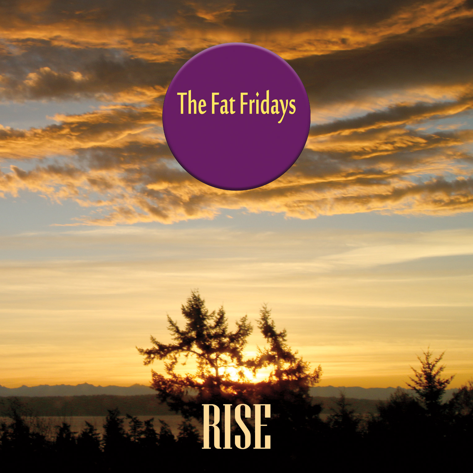 The Fat Fridays RISE CD image
